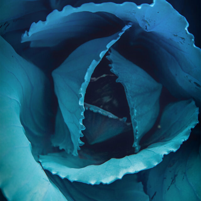 blog-thumbnail-4